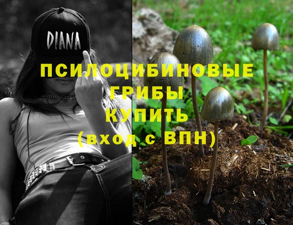 молекула духа Алексин