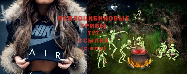 твердый Алзамай