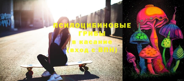 СК Алексеевка