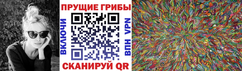 закладки  Переславль-Залесский  Псилоцибиновые грибы Psilocybe 