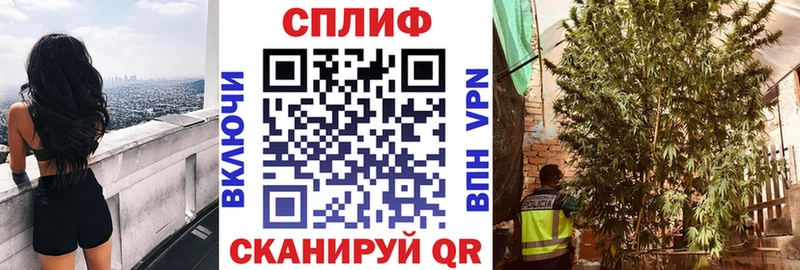 Бошки марихуана конопля  Переславль-Залесский 